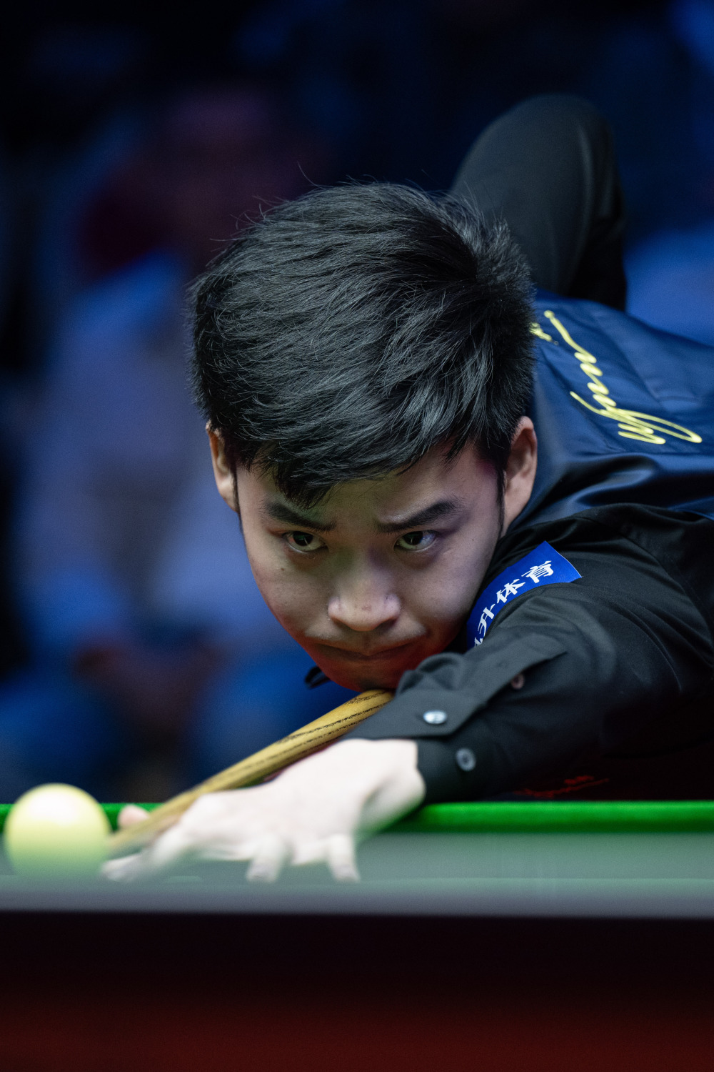 都应该致力 都应该致力