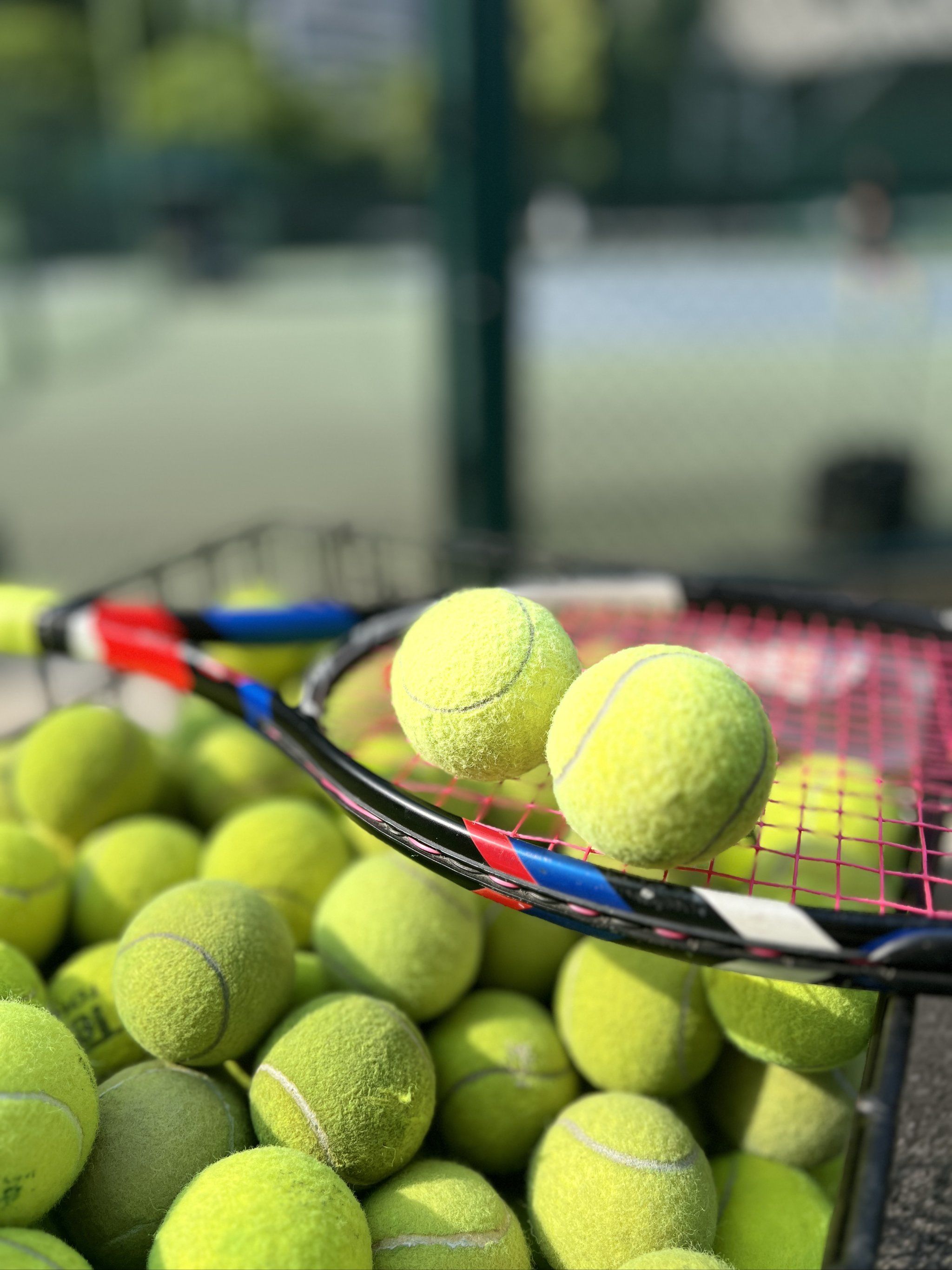 库里31分 库里31分